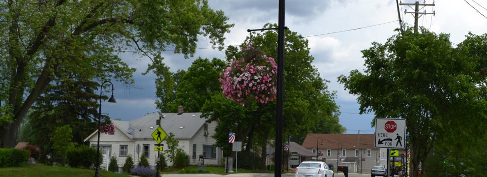 road side view